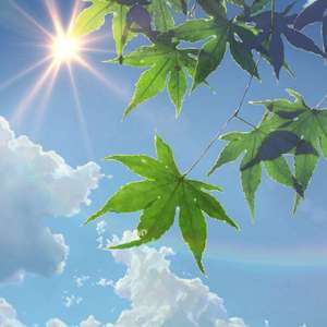 免费的黄A片在线观看
