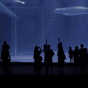 免费的黄A片在线观看
